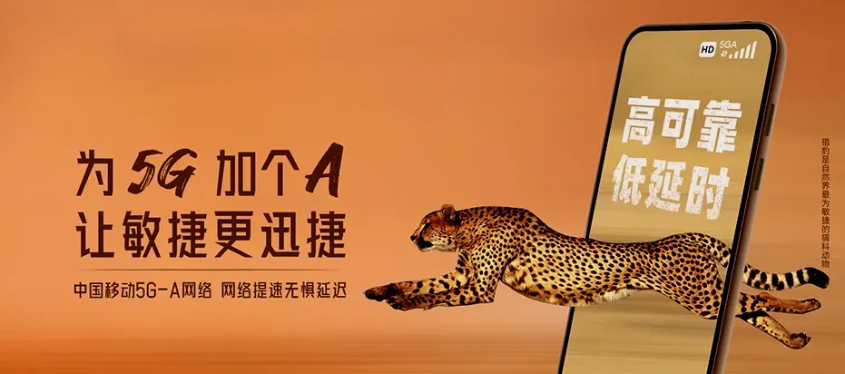 沿滩区沿滩区九洪乡 移动宽带